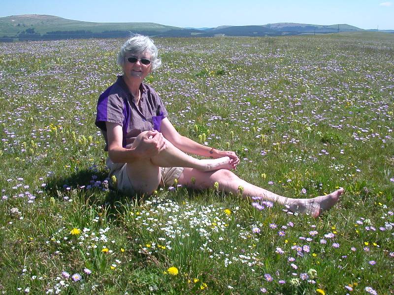 Judy wriggeling her toes in the wild flowers near Medicine Wheel in Wyoming