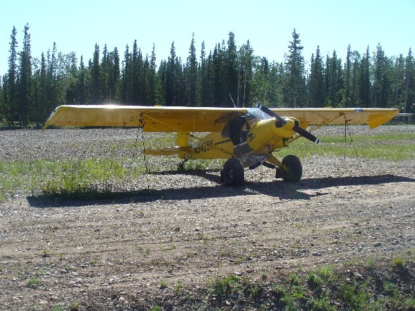 STOL Super Cub