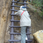 Judy climbing a ladder