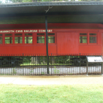 Passenger/Baggage Car