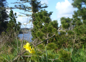 Garrison Lake